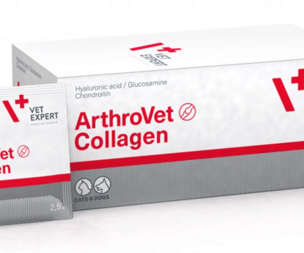 Collagen Kollagen Hund