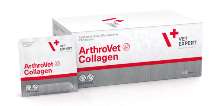 Collagen Kollagen Hund