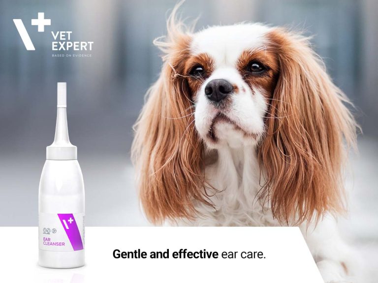 Ear Cleanser Ohrenreiniger Ohreiniger Otitis Ohrenentzündung beim Hund