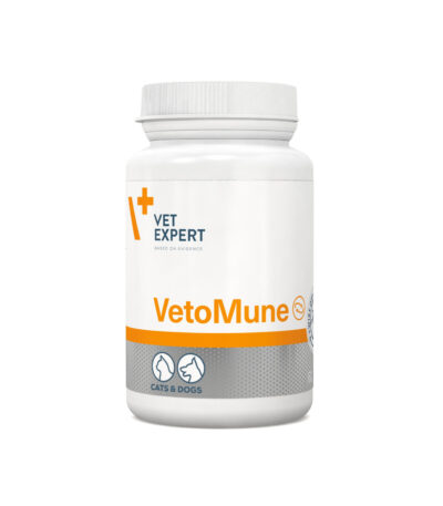 Unterstützung des Immunsystems für Hunde und Katzen