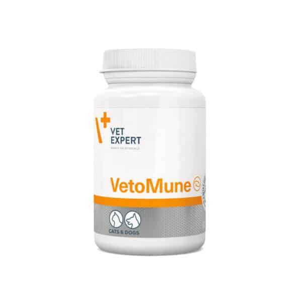 Unterstützung des Immunsystems für Hunde und Katzen