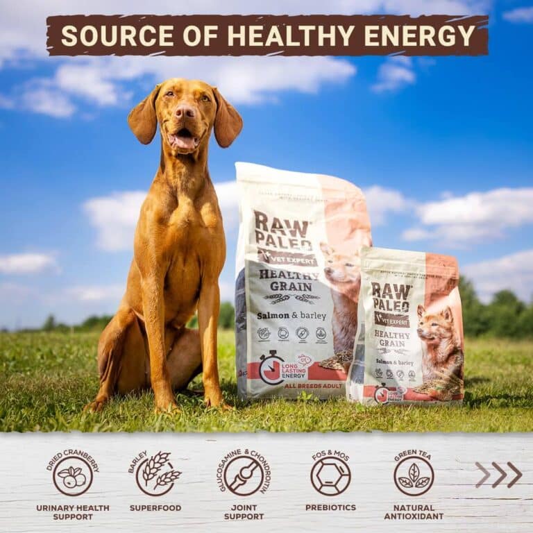 Healthy_Grain Long Lasting Energy Hundefutter