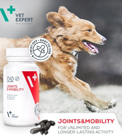 Joints & Mobility Arthrose