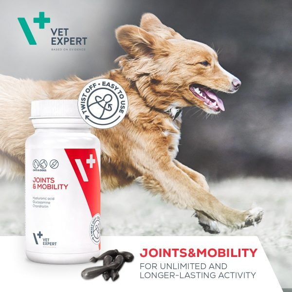 Joints & Mobility Arthrose