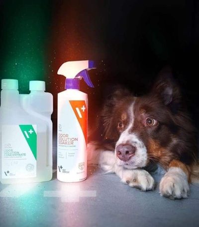 VetExpert Odor Solution Hund Tierarztbedarf, Veterinärbedarf, Veterinärmedizin, Praxisbedarf, Ergänzungsfuttermittel, Tierarztprodukten, Tierapotheke, Tierpflegeprodukte