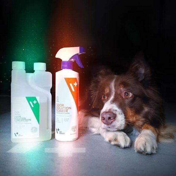 VetExpert Odor Solution Hund Tierarztbedarf, Veterinärbedarf, Veterinärmedizin, Praxisbedarf, Ergänzungsfuttermittel, Tierarztprodukten, Tierapotheke, Tierpflegeprodukte