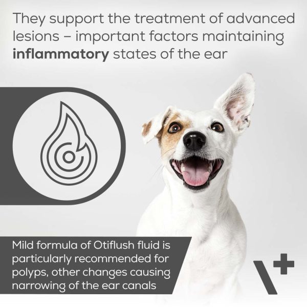 Otiflush Otitis Ohrenentzündung beim Hund
