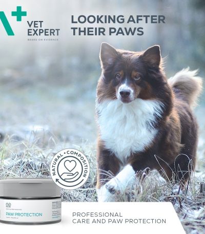 Pfotenbalsam Pfotenpflege für Hunde Hundepfoten