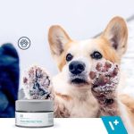 Paw Protection Pfotenpflege Pfotensalbe Pfotenbalsam für Hunde & Katzen Winter