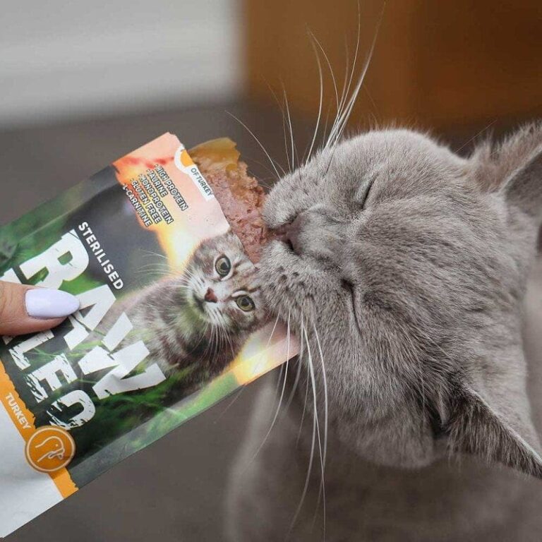 Raw Paleo Katzenfutter für kastrierte Katzen – Raw Paleo Truthahn Turkey