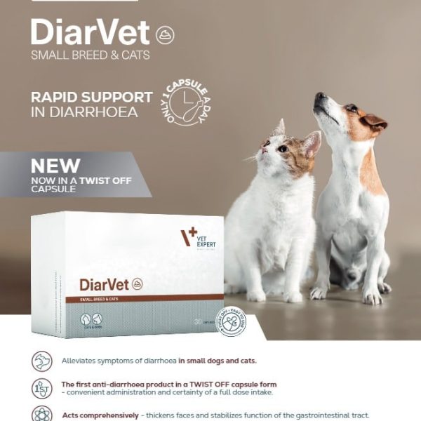 DiarVet Durchfall Hund Katze