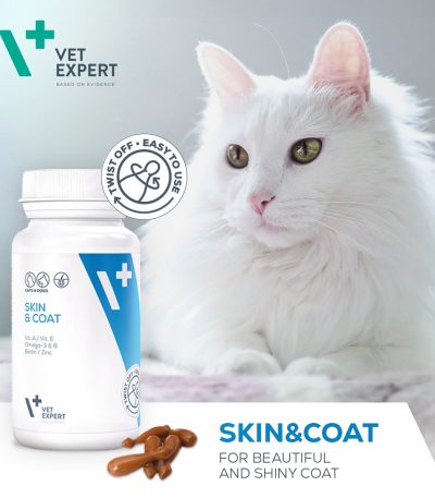 Skin & Coat Fellwechsel Haarausfall Hund verliert Haare