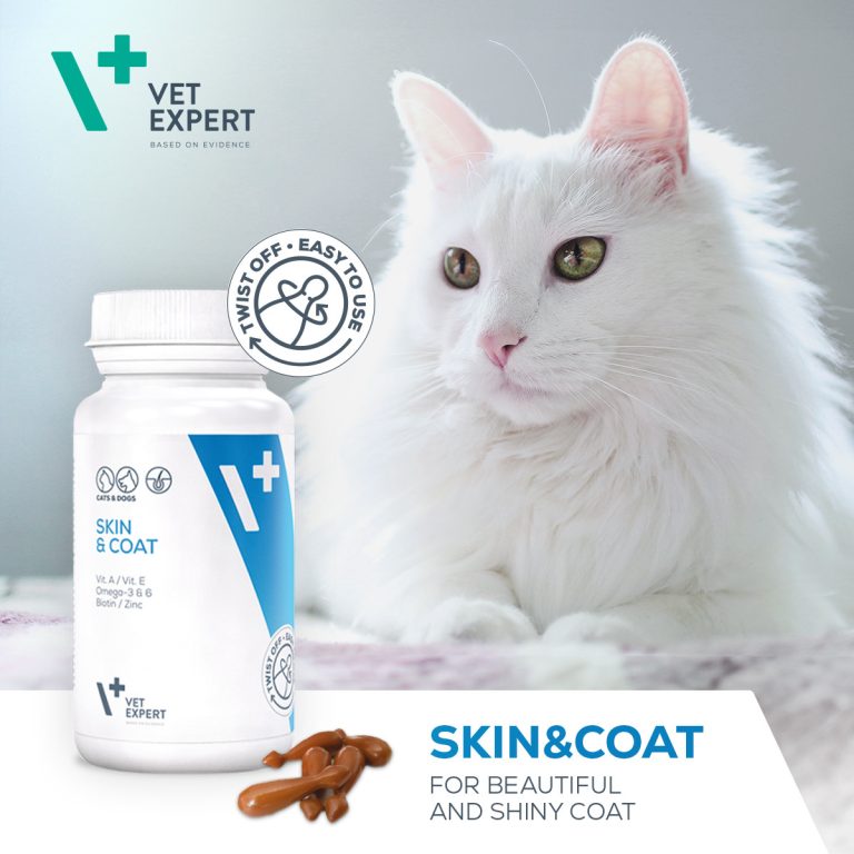 Skin & Coat Fellwechsel Haarausfall Hund verliert Haare