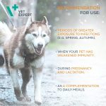 Stärkung des Immunsystems von Hunden und Katzen 6