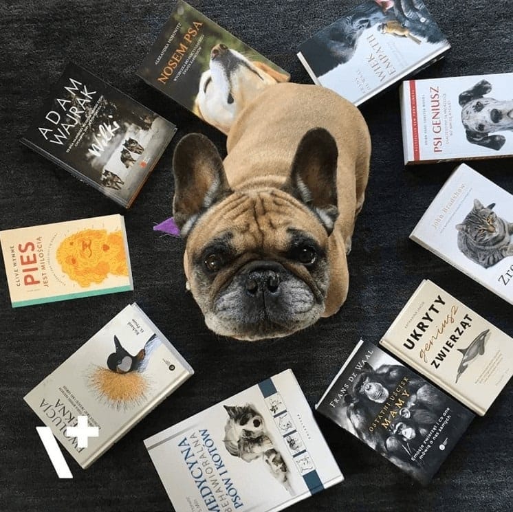 VETEXPERT Hund Registrierung Kauf