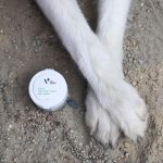 VetExpert Paw Protection - Pfotensalbe / Pfotenbalsam 75ml