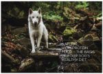 VETEXPERT Raw Paleo Hundefutter Large Trockenfutter Nassfutter Barf