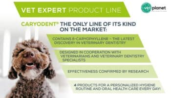 Zahngesundheit bei Hund und Katze Mundgeruch Hund