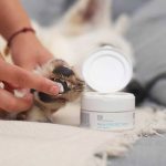 VetExpert Paw Protection - Pfotensalbe / Pfotenbalsam 75ml