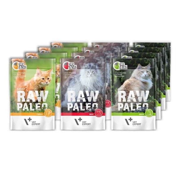 raw-paleo-adult-cat-12x100g