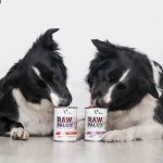 Raw Paleo Hundefutter Katzenfutter Getreidefrei mit hohem fleischeinteil