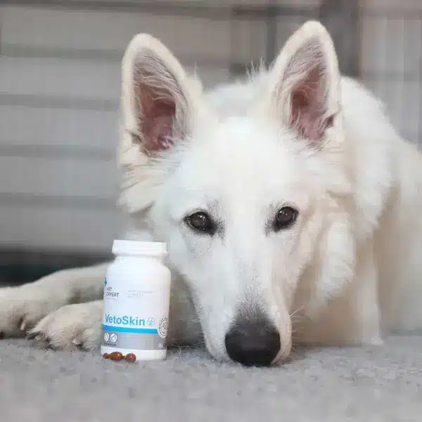 vet-expert-vetoskin-unterstützt gesunde Haut und glänzendes Fell bei Hunden & Katzen
