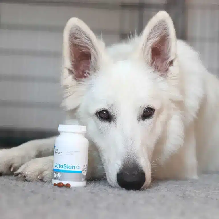 vet-expert-vetoskin-unterstützt gesunde Haut und glänzendes Fell bei Hunden & Katzen